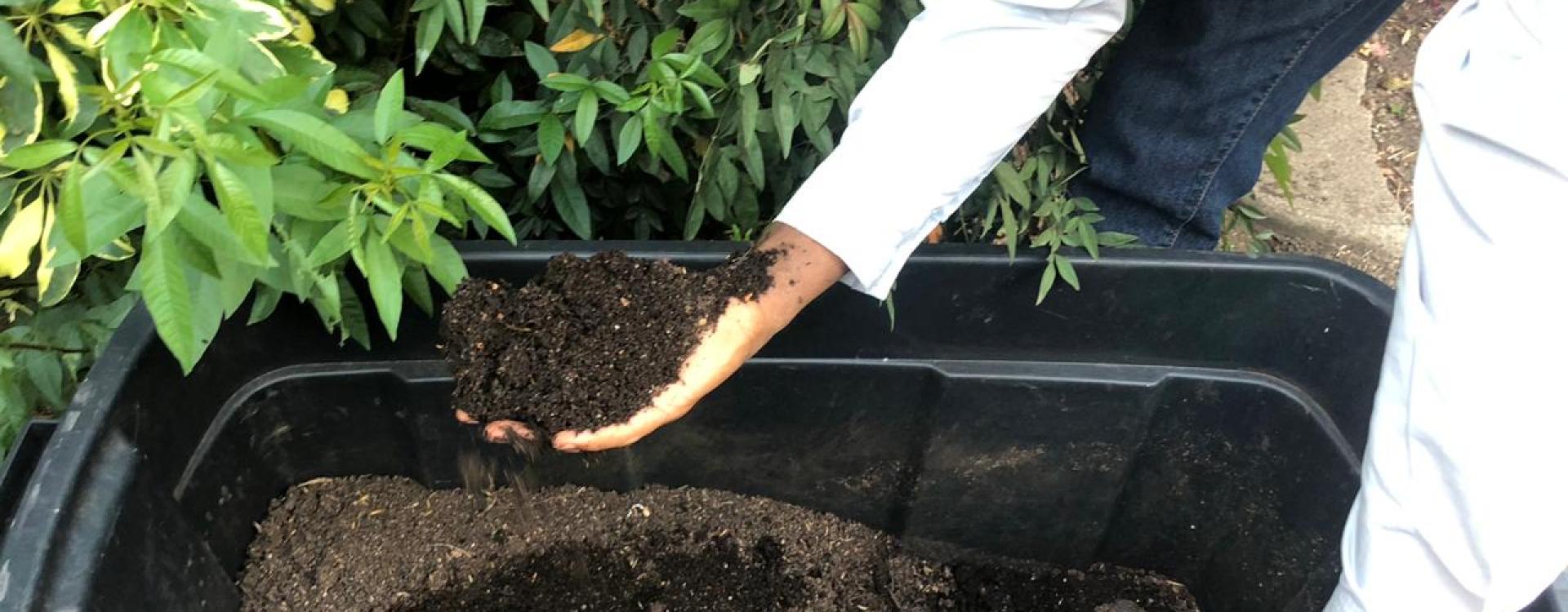 Why earthworms are at the forefront of sustainability in South Africa